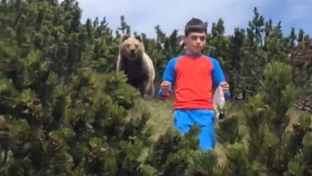 Italian boy, 12, encounters bear on family hike and somehow remains completely calm