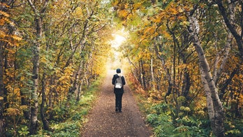 Iceland uses coronavirus stimulus money to fight climate change