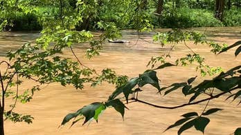 Drunk man rescued after passing out with rum bottle in lap, floating 7 miles down flooded river