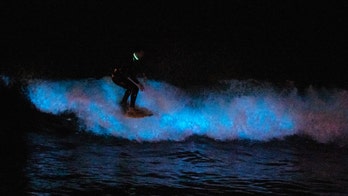 Incredible bioluminescent waves create stunning scenes on California beaches