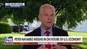 Peter Navarro: Anyone who believes we're in a 'Great Depression' doesn't understand history