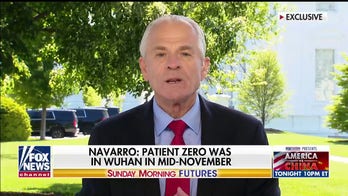 Peter Navarro: 'Chinese communist party' dismantled Trump's 'beautiful economy' in 60 days amid coronavirus