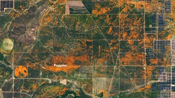 California poppy bloom seen from space after significant late-season rains