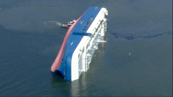 Removal of Golden Ray cargo ship capsized in Georgia sound hits snag due to coronavirus pandemic