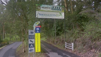 Zookeeper in critical condition after attacked by 2 lions at Australian zoo