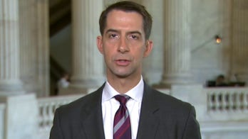 Tom Cotton calls on China to produce evidence that disputes Wuhan lab as source of COVID-19