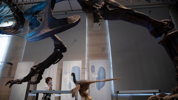Coronavirus pandemic could lead 13 percent of world's museums to close for good, UN agency study finds