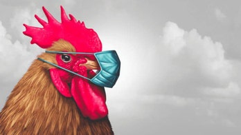 Louisiana cops search for 'aggressive chicken' breaking social distancing, terrorizing bank patrons at ATM