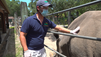 People furious over Detroit Zoo’s outdoor mask policy: 'See how many people pass out' in warmer weather
