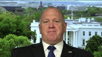 Tom Homan on plan to give stimulus money to some illegal immigrants: Pelosi has 'lost her mind'
