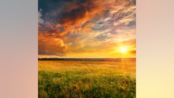 Bible verse of the day: Life is a marathon full of 'struggle' with 'joy at the finish line,' says pastor