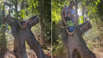Mom 'mortified' when her son gets stuck inside of hollow tree during first park trip after lockdown