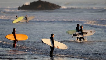 New Zealand could lift remaining coronavirus restrictions after nearly 2 weeks without new cases