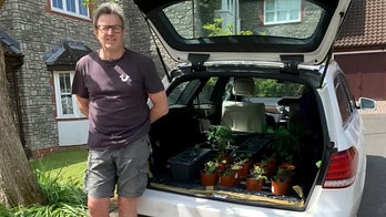 Man converts parked Mercedes into greenhouse garden during lockdown
