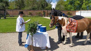Bored owners of country estate 'marry' two of their horses in lavish ceremony: 'We think it's genuine love'
