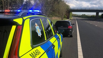 Coronavirus lockdown violators in UK include drivers caught going hundreds of miles to buy puppies, speakers