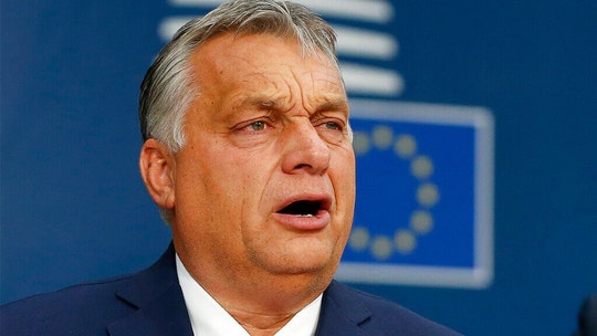 Hungary's Orban cites 'fake news' about coronavirus for detentions