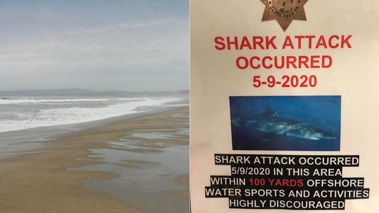 California surfer killed in shark attack, state beach closed