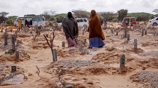Somalia sees 'massive' uptick in female genital mutilation during coronavirus lockdown
