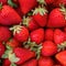 Strawberries recalled due to hepatitis A outbreak across several states and in Canada