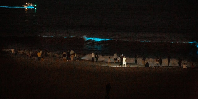 A strong Red tide sees Pacific Ocean waters turn a glowing bioluminescent Blue, as well as drawing the attention of curious Los Angelenos, despite Coronavirus stay-at-home orders and closed beaches, in Playa Del Rey, CA, USA, on May 7, 2020.(Photo by John Fredricks/NurPhoto via Getty Images)