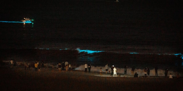 A strong Red tide sees Pacific Ocean waters turn a glowing bioluminescent Blue, as well as drawing the attention of curious Los Angelenos, despite Coronavirus stay-at-home orders and closed beaches, in Playa Del Rey, CA, USA, on May 7, 2020.(Photo by John Fredricks/NurPhoto via Getty Images)