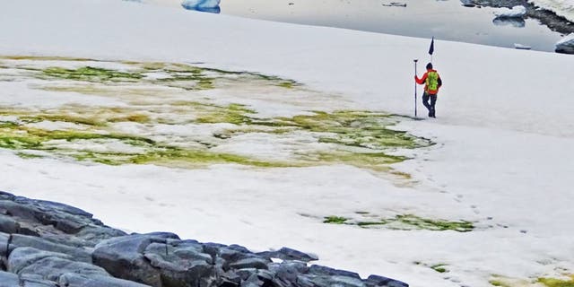 Go Green! Antarctica’s Snow is 'Changing Colour Due to Climate Change' Go Green! Antarctica’s Snow is 'Changing Colour Due to Climate Change'