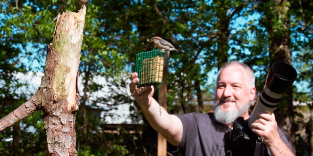 In this April 27 photo, amateur bird watcher Michael Kopack Jr. holds his camera in the background while two nuthatches land nearby in Angier, N.C.