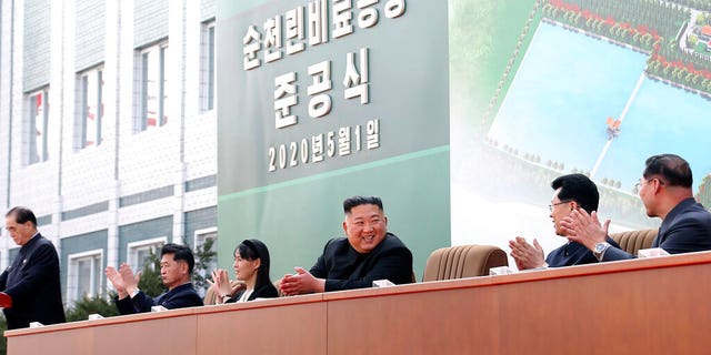 In this Friday, May 1, 2020, photo provided by the North Korean government, North Korean leader Kim Jong Un, center, claps with his sister Kim Yo Jong, third from left, during a ceremony at a fertilizer factory in Sunchon, South Pyongan province, near Pyongyang, North Korea. 