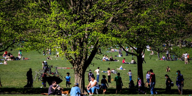 New Yorkers packed Brooklyn's Prospect Park this past weekend as temperatures soared into the 70s. The crowds -- and concerns about police enforcing social distancing measures -- have prompted Mayor Bill de Blasio to announce Thursday that future use of some of the city's green spaces might be limited. (AP)