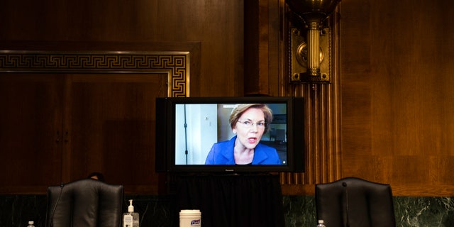 Sen. Elizabeth Warren speaking via video link at the hearing.