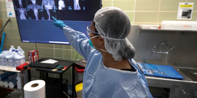 A medical examiner makes reference to digitally projected X-rays of a gunshot victim as she prepares for her share of autopsies at the county morgue in Chicago on May 5. (AP Photo/Charles Rex Arbogast)