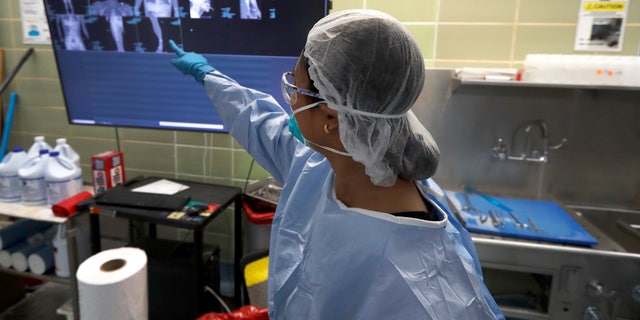 A medical examiner makes reference to digitally projected X-rays of a gunshot victim as she prepares for her share of autopsies at the county morgue in Chicago on May 5. (AP Photo/Charles Rex Arbogast)