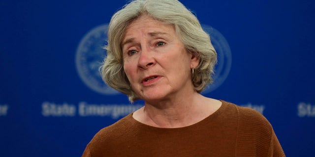 Minnesota Health Commissioner Jan Malcolm provides an update on the state's response to the coronavirus pandemic, during a news conference in St. Paul, Minn., Wednesday, May 27, 2020. (Associated Press)