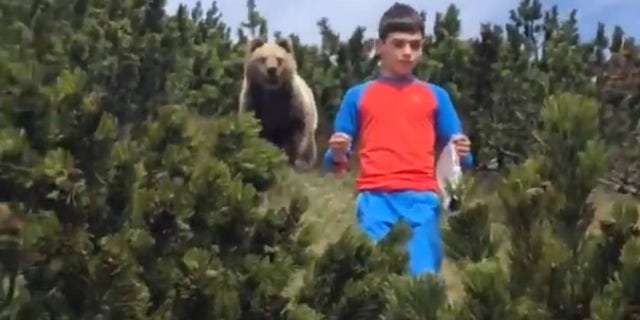 In May, an alarming encounter with a bear was recorded on video as a man guided a 12-year-old boy down a hillside with a bear looming behind the child. (Storyful/Louis Calliari)
