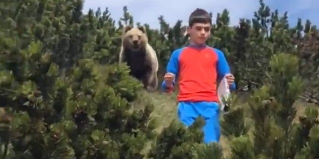 In May, an alarming encounter with a bear was recorded on video as a man guided a 12-year-old boy down a hillside with a bear looming behind the child. (Storyful/Louis Calliari)