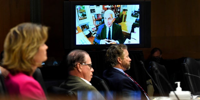 Senators listen as Dr. Anthony Fauci, director of the National Institute of Allergy and Infectious Diseases, speaks remotely during a virtual Senate Committee for Health, Education, Labor, and Pensions hearing, Tuesday, May 12, 2020 on Capitol Hill in Washington. (Toni L. Sandys/The Washington Post via AP, Pool)