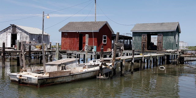 Workboats at crab shacks lining the waterway in the harbor of Tangier Island, Va., in 2012. (AP Photo/Steve Helber, File)