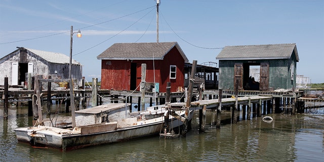 Workboats at crab shacks lining the waterway in the harbor of Tangier Island, Va., in 2012. (AP Photo/Steve Helber, File)
