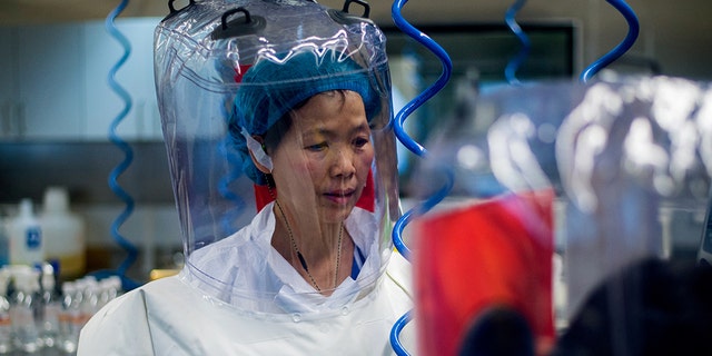 Chinese virologist Shi Zhengli is seen inside the P4 laboratory in Wuhan, capital of China's Hubei province, on February 23, 2017. - The P4 epidemiological laboratory was built in co-operation with French bio-industrial firm Institut Merieux and the Chinese Academy of Sciences. (Photo by Johannes EISELE / AFP) (Photo by JOHANNES EISELE/AFP via Getty Images)