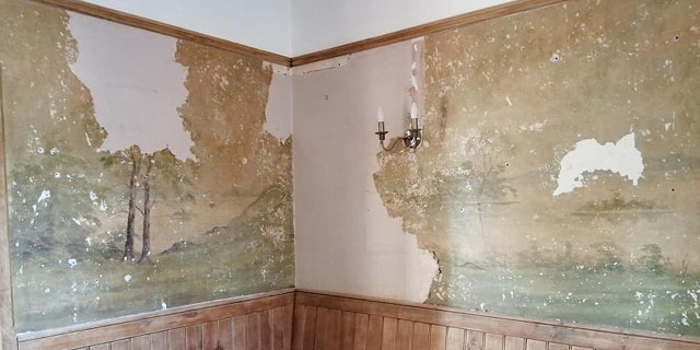 “We decided, obviously, to close the pub due to the coronavirus outbreak,” bar manager Wendy Harrison told The Sun. "We thought we would do some decorating as it hasn't been touched for years."