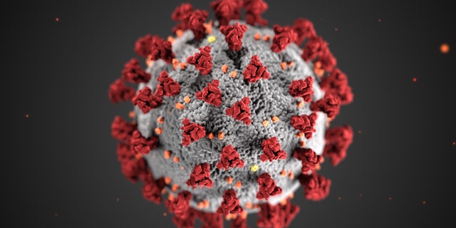 COVID-19 Coronavirus molecule, March 24, 2020.