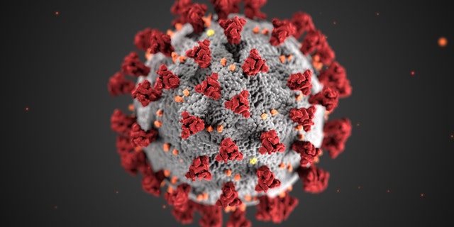 COVID-19 Coronavirus molecule, March 24, 2020 -file image.