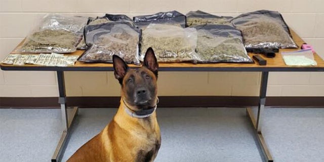 A traffic stop led to large the seizure of 15 pounds of marijuana and the arrest of a Fort Campbell soldier. K-9 Harry participated in the bust..