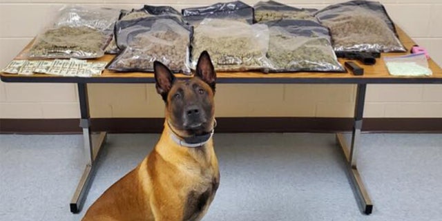 A traffic stop led to large the seizure of 15 pounds of marijuana and the arrest of a Fort Campbell soldier. K-9 Harry participated in the bust..