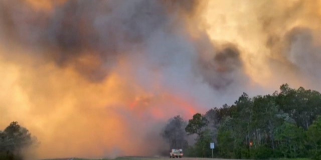 Fire and smoke rise from trees alongside a road in Santa Rosa County, Florida. Wildfires raging in the Florida Panhandle have forced nearly 500 people to evacuate from their homes, authorities said.