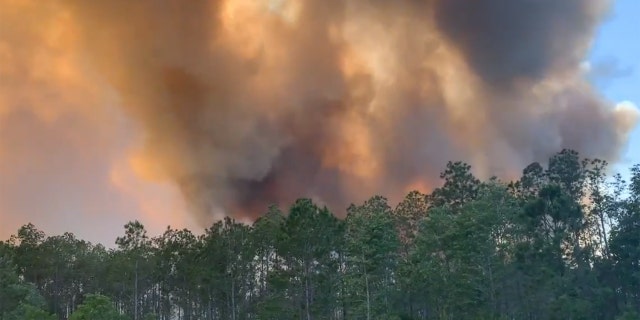 Fire and smoke rise from trees alongside a road in Santa Rosa County, Florida. Wildfires raging in the Florida Panhandle have forced nearly 500 people to evacuate from their homes, authorities said.