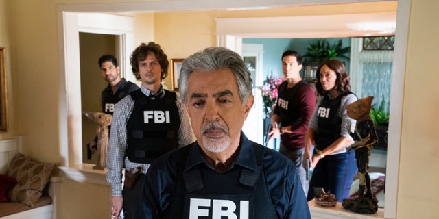 "Criminal Minds" is being rebooted for a special 10-episode season.