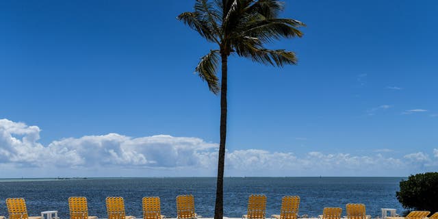 Empty lounge chairs are seen on a deserted beach at a resort in Windley Key in this March photo. (CHANDAN KHANNA/AFP via Getty Images)