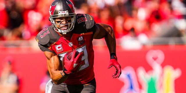 Vincent Jackson (83) of the Tampa Bay Buccaneers in action during the game against the Atlanta Falcons at Raymond James Stadium on December 6, 2015 in Tampa, Florida. (Photo by Rob Foldy/Getty Images)